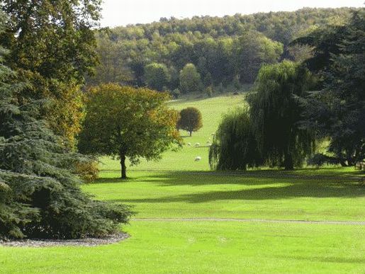 Looking South at West Dean Estate