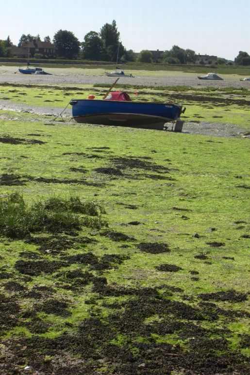 Boats left high and dry by the low tide at Bosham