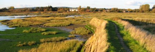 This picture copyright © under Creative Commons Attribution-Share Alike 2.0 Generic License picture of Fishbourne