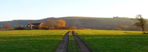This picture copyright © Simon Gray under Creative Commons Attribution-Share Alike 2.0 Generic License picture Halfway, between Hassocks and Clayton in Sussex