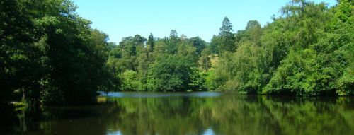 picture of the Leonardslee Gardens in Sussex