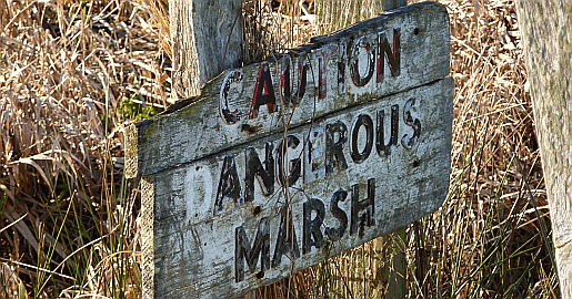 Amberley Swamp - you need to be careful where you tread