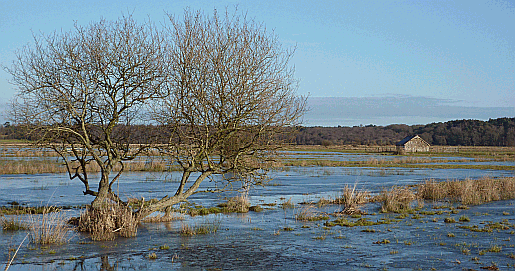 Amberley and the flooded River Arun in winter
