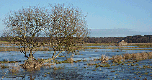 Amberley wildbrooks information