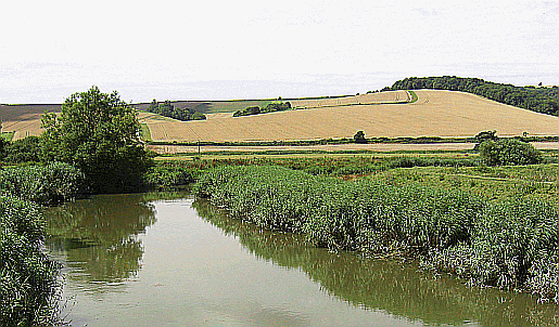 Picture of the Arun next to the South Downs Way
