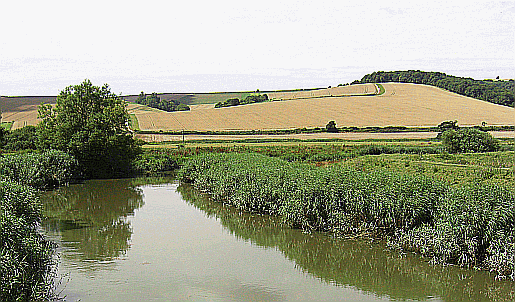 The River Arun. Part of our guide to the South Downs Way Picture of the Arun next to the South Downs Way