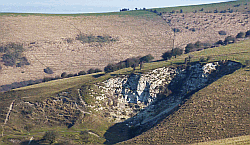 Picture of chalk workings at Beding Hill, Sussex 