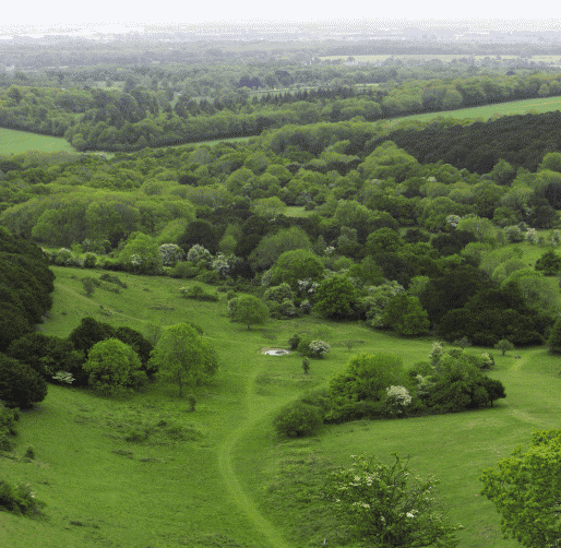 Even when the weather isn't great th view from Kingley Vale can be astonishing Bow Hill at Kingley Vale