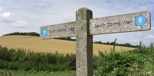 Picture of signpost on South Downs Way