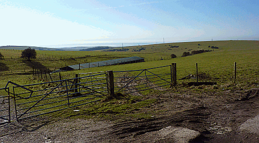 Picture of Bushy Bottom from the South Downs Way 