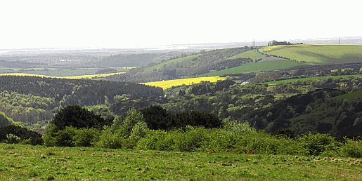 Picture of the view from Butser Hill
