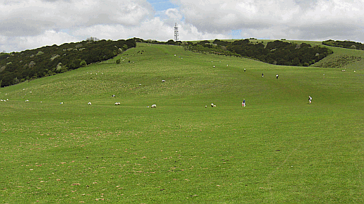 Picture of the steep slope of Butser Hill in Hampshire