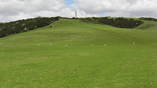 Butser Hill near Petersfield in Hampshire. Part of our guide to the South Downs Way Picture of the steep slope of Butser Hill in Hampshire