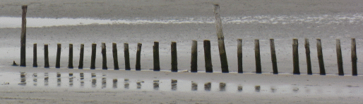Picture of sea defences supporting the sand banks near the entrance to Chichester Harbour