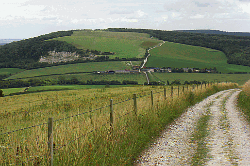 Picture of Cocking chalk pit 