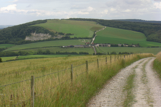 Picture of the South Downs Way near Cocking