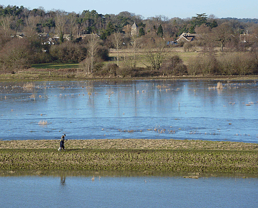 Picture of Coldwaltham and the River Arun