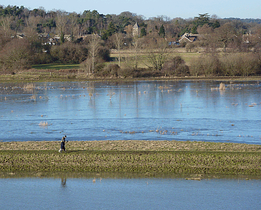 The Church and village of Coldwaltham in West Sussex Picture of Coldwaltham and the River Arun