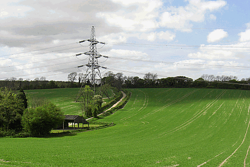 Picture of downland countryside at Milky Way near Buriton