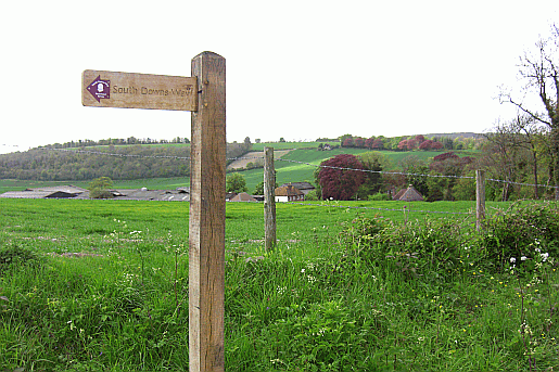 Picture of South Downs Way marker near Buriton in Hampshire