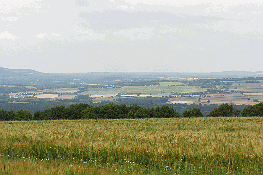 Picture of the panoramic view from Crown Tegleaze on the South Downs Way in West Sussex