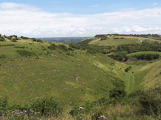 Picture of the National Trust Devil's Dyke Estate.