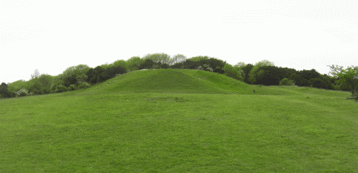 A photo of the Devil's Humps Barrow cemetery sometimes called the Kings' Graves at Kingley Vale