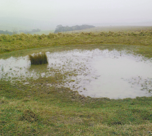 Picture of dewpond in West Sussex