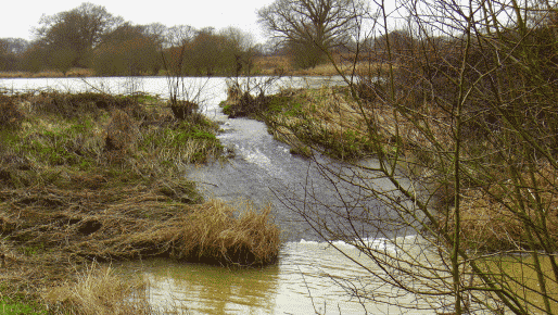 The River Adur at Hammer Farm near Dial Post