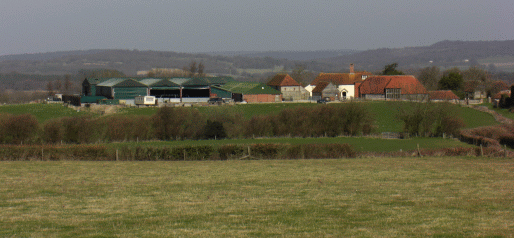 Picture of Didling village