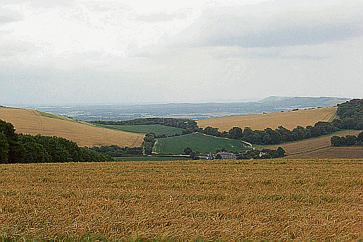 Picture of the view from Littleton Down on the South Downs Way