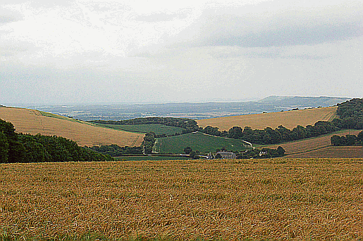 Dogkennel Cottages. Part of our guide to the South Downs Way Picture of the view from Littleton Down on the South Downs Way