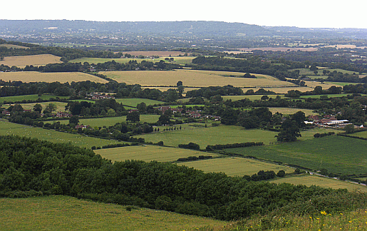 A view of East Harting