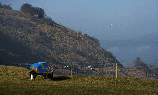 Picture of Fulking Escarpment, West Sussex