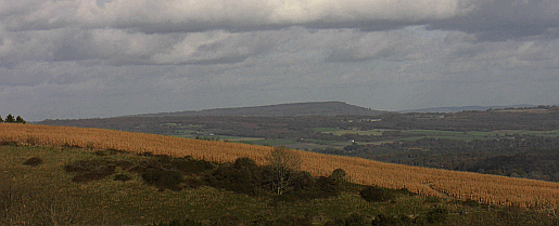 The geological cross section of the Downs and the Weald is evident from many places in West Sussex West Sussex chalk and greensand formations
