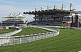 Goodwood racecourse photo