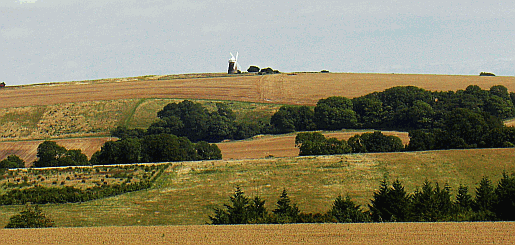 Picture of Halnaker Mill, taken from near Godwood Sculpture Park