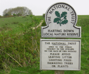 The National Trust now look after Harting Down Nature Reserve