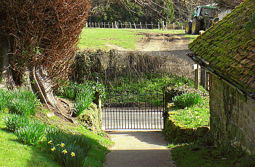 Picture of the village of Iping - St Mary's Church, Iping