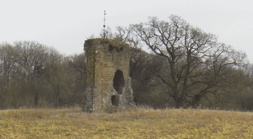 The ruins of Knepp Castle