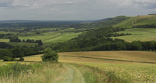 Picture of Didling and the Rother Valley