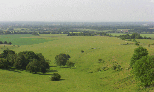 Picture of the view from the Monarch's Way