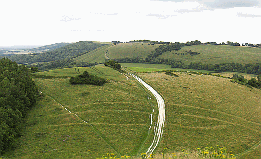 Picture of The National Trail at Pen Hill near Treyford