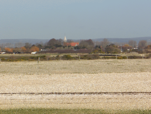 Pagham Harbour