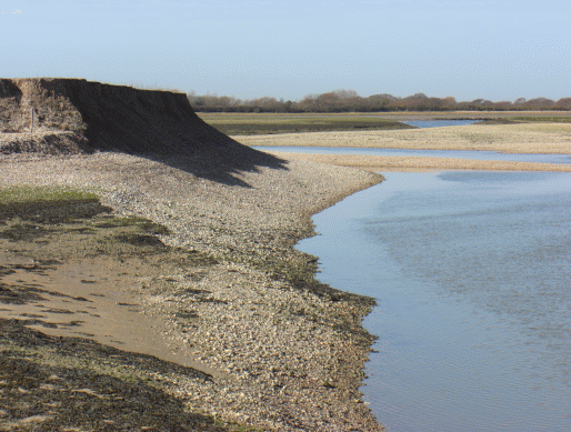 Pagham Harbour Nature Reserve near Selsey in Sussex - low tide