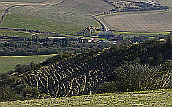 Picture of terraces near Pyecombe and Newtimber Hill 