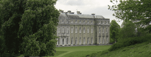 Petworth Park and Petworth Pleasure Gardens are run by the National Trust Photo of Petworth Park