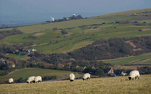Pyecombe and the South Downs Way climbing towards Jack and Jill windmills at Clayton. Part of our guide to the South Downs Way Picture of layton windmills seen from hillsides above Pyecombe in west Sussex
