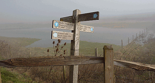 Picture of South Downs Way marker post at Botolphs 