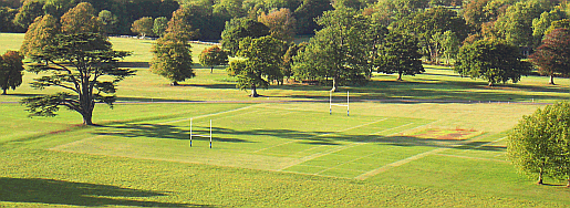 Picture of rugby pitch